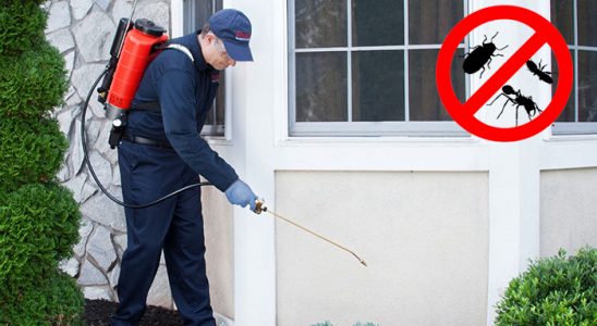 Kocaeli Akrep İlaçlama böcek ilaçlama ve haşere kontrolü — ilaclama-tr.com